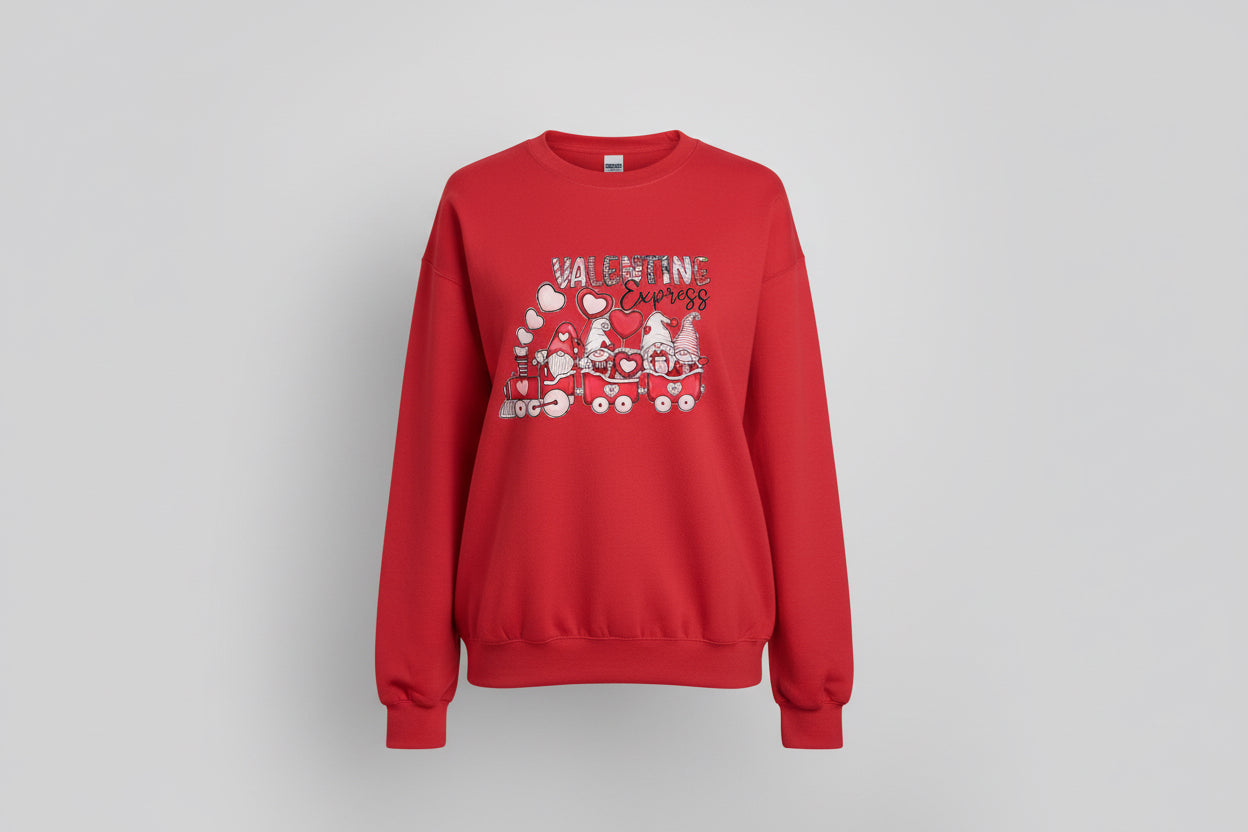 Gnomes riding train sweatshirt
